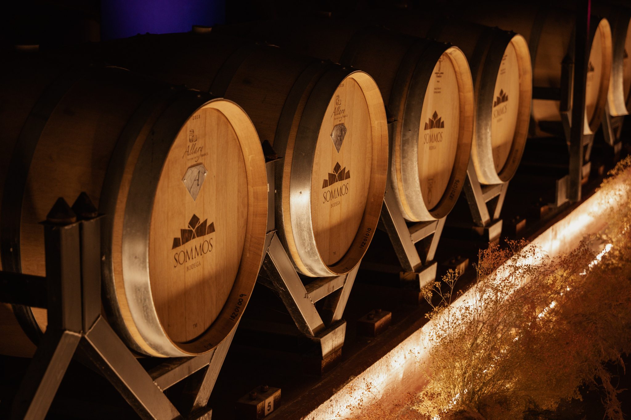 Bodegas Sommos